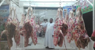 الغرفة التجارية تكشف أسباب استقرار أسعار اللحوم بالأسواق