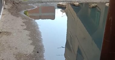 أهالى شارع الترعة بالبحيرة يشكون من شبكة الصرف الصحى.. المحافظة تستجيب