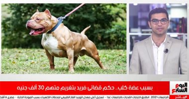 غرامة 30 ألف جنيه بسبب عضة كلب.. تفاصيل حكم قضائى فريد من نوعه بسبب مشاجرة.. فيديو