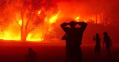 المغرب: استمرار الجهود لإخماد حرائق الغابات بإقليم شفشاون