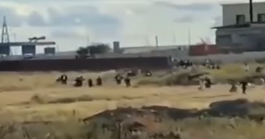 زبائن يهربون من مطعم بكازاخستان خوفا من المفتشين لانتهاكهم قيود كورونا.. فيديو