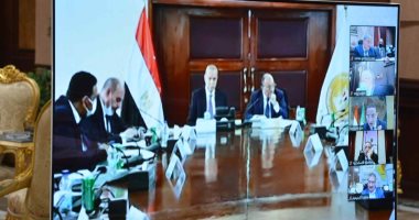 محافظ المنيا يتابع مع وزير التنمية المحلية توفير الأراضى لمشروعات "حياة كريمة"