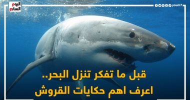 قبل ما تفكر تنزل البحر.. اعرف اهم حكايات القروش بالأفلام فى "Clack"