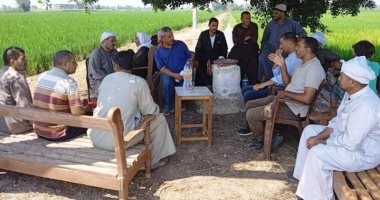 "زراعة الشرقية" تنفذ مدرسة حقلية لمزارعى قرية كراديس فى ديرب نجم
