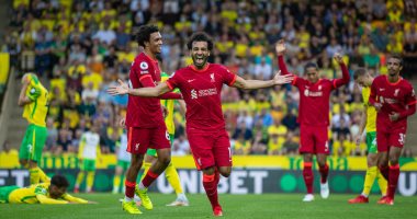 حصاد المحترفين فى الجولة الأولى بملاعب العالم.. محمد صلاح يخطف الأنظار بالدورى الإنجليزى.. حجازى مدافع بدرجة هداف بالسعودية.. مرموش يشارك فى فوز فولفسبورج الألمانى.. والننى ومصطفى محمد يكتفيان بالدكة