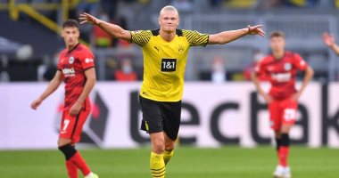 هالاند يتألق فى خماسية دورتموند ضد فرانكفورت فى الدوري الألماني.. فيديو