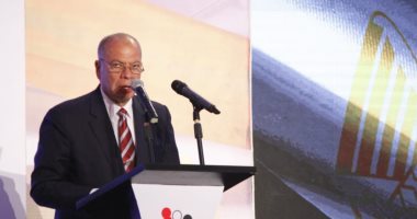 رئيس "دفاع الشيوخ": الجمهورية الجديدة تعمل لصالح كل المصريين داخل وخارج مصر