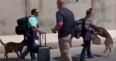 مسئول بالبنتاجون: استمرار عمليات الإجلاء الجوية من أفغانستان ولم نواجه أى تهديد