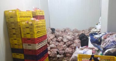 ضبط دجاج وهياكل وأسماك ولحوم غير صالحة للاستهلاك فى حملات بالشرقية