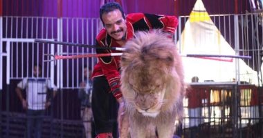 شاهد عرض مبهر لترويض الأسود بسيرك الإسماعيلية.. صور