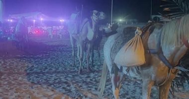 مجلس مدينة العريش ينفذ حملة تطهير شاطئ العريش من الخيول والجمال