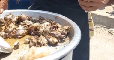 فياجرا الغلابة.. شاهد إقبال البسطاء على وجبة "العصافير" فى الأسواق الشعبية