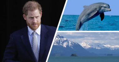 أروق 7 أخبار × 24 ساعة.. موقف الأمير هارى من مسلسل كارتونى يسخر منه.. الوهم البصرى يحول جزيرة إلى طبق طائر.. خصائص مشتركة بين البشر والدلافين.. وتفاصيل أول فندق فضائى فى العالم