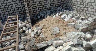 حملات دورية لإزالة التعديات على الأراضى الزراعية فى الشرقية