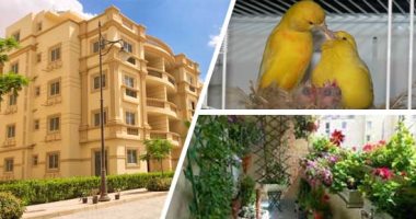 ليس منا من لم يأمن جاره بوائقه.. حكم قضائى بتغريم مواطن 20 ألف جنيه لاتهامه بـ"أذى جاره".. أصاب جاره بضرر نفسى ومادى نتيجة إحداث رطوبة بجدران الغرف والسقف.. والسبب تربية الطيور وأحواض الزرع