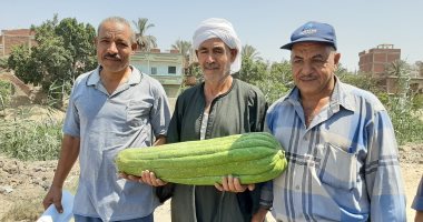 حكاية قرية بالشرقية تحارب البطالة بـ"اللوف".. والسعر بين 10 و25 جنيها.. صور