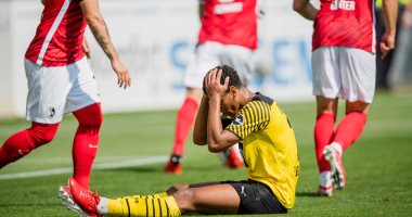 دورتموند يسقط أمام فرايبورج بثنائية فى الدوري الألماني.. فيديو