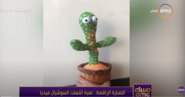 "غرفة تجارة القاهرة": الصبارة الراقصة سعرها ارتفع بعد ما بقت ترند