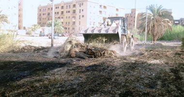 إزالة تعديات بالصداقة الجديدة وأبو سمبل السياحية ونصر النوبة ورفع تراكمات‎‎ فى أسوان