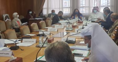 الجامعة العربية تطرح مشروعا لإعفاء شركات الطيران العربية من الرسوم والضرائب