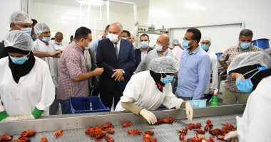 محافظ قنا يتفقد خط فرز وحفظ وتجميد الأسماك بمنطقة قفط الصناعية