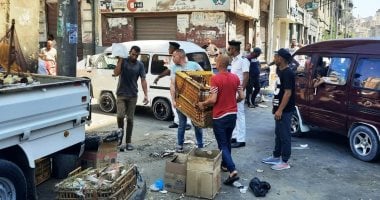 حملات مكبرة لإزالة الإشغالات والتعديات بالأسواق والشوارع فى الإسكندرية