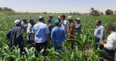 زراعة الوادى الجديد: تنفيذ فعاليات الحملة القومية للنهوض بمحصول الذرة بالقرى