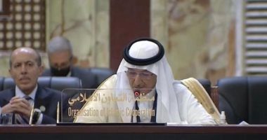 "التعاون الإسلامي": العراق على أعتاب مرحلة جديدة لتعزيز الأمن والتنمية على كامل أراضيه