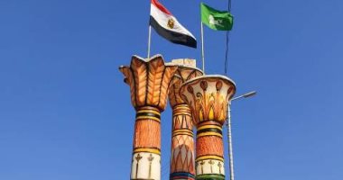 حملات نظافة ودهان البلدورات وتجميل وتزيين مداخل وشوارع الشرقية.. صور