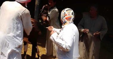 محافظ أسوان يتابع حملات الطب البيطرى للتقصى النشط لمجابهة أنفلونزا الطيور