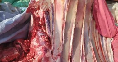 ضبط طن دواجن ولحوم منتهية الصلاحية خلال حملات في العاشر من رمضان ومنيا القمح