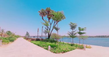 طفرة عمرانية غير مسبوقة جنوب مصر.. مدينة أسوان الجديدة مستقبل الصعيد.. لايف