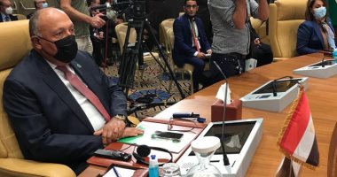 البيان الختامى لدول جوار ليبيا يدعو لتفعيل الاتفاقية الرباعية لتأمين الحدود المشتركة