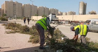 فع 15 ألف طن مخلفات صلبة و70 طن مخلفات طبية من شوارع الإسكندرية.. صور