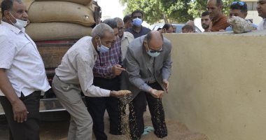 محافظ أسيوط يتابع عمل صوامع شركة مطاحن مصر للتأكد من سلامة القمح.. صور