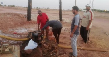 نماذج مشرقة.. شباب الخريجين بالوادى الجديد تحدوا ظروف كورونا بزراعة الصوب