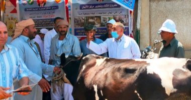 قافلتان بيطريتان بقرى مركز الحسينية بالشرقية ضمن مبادرة "حياة كريمة"