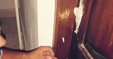 ضبط 4 كيانات تعليمية وهمية بدون ترخيص فى البحيرة.. صور