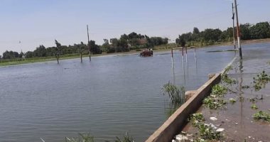 غرق أراضى طرح النهر بجزيرة داود فى المنوفية بسبب زيادة منسوب المياه.. والرى ترد