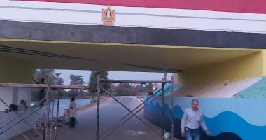 الانتهاء من تجميل كوبرى الكيلو 49 فى أبوتيج بأسيوط ضمن "حياة كريمة".. صور