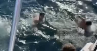 مغامرة مخيفة.. شابان يقفزان فوق سمكة قرش فى أمريكا "فيديو وصور"