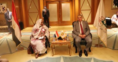 القوى العاملة تبحث نقل الخبرات المصرية فى التدريب والحوسبة إلى السودان