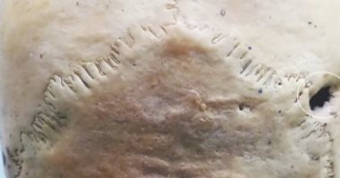 هياكل عظمية عمرها 3000 عام لفلاحين تشيليين تؤكد انتشار العنف بالعصر الحجرى