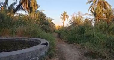 هنا مات أب وإبناه فى سيوة.. بث مباشر من موقع غرق 3 من أسرة واحدة