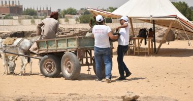 جامعة عين شمس تعلن بدء الموسم الثانى لحفائر قلعة شيخ العرب همام