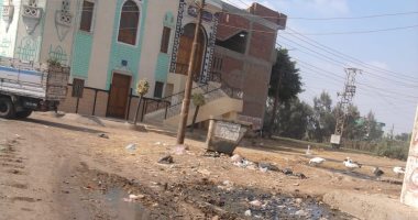 شكوى من انسداد الصرف الصحى بعزبة المرعشلى محافظة الشرقية.. الشركة ترد