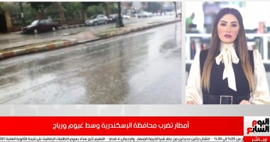 أمطار تضرب الإسكندرية.. والأرصاد تعلن انخفاض الحرارة حتى الإثنين.. فيديو