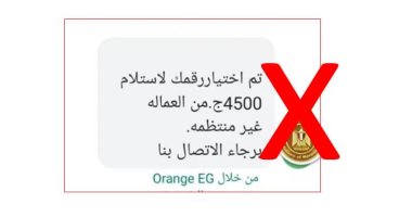 القوى العاملة تجدد تحذيراتها من أساليب النصب بشأن منحة العمالة غير المنتظمة