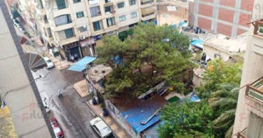أمطار تضرب محافظة الإسكندرية وسط غيوم ورياح .. فيديو وصور