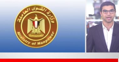 تفاصيل وظائف القوى العاملة.. 1889 فرصة عمل برواتب تصل 5000 جنيه (فيديو)